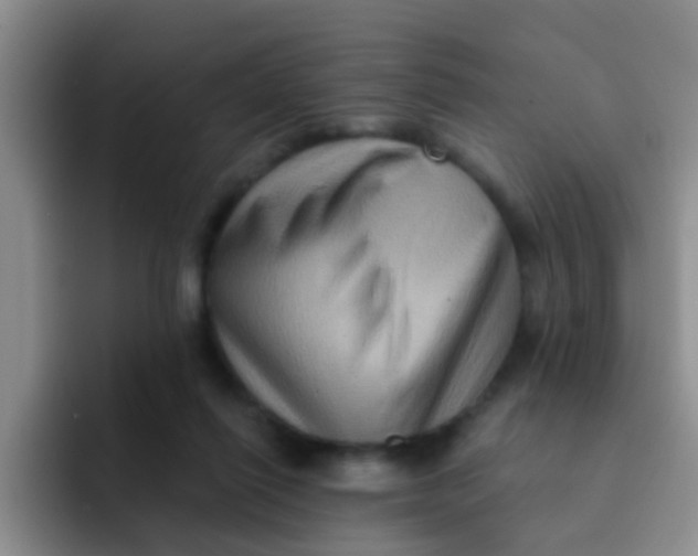 X0000091930262200709261919