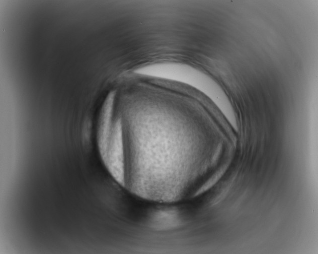 X0000091930263200709261919