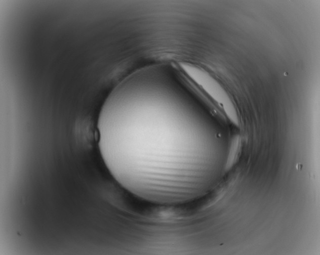 X0000091930264200709261919