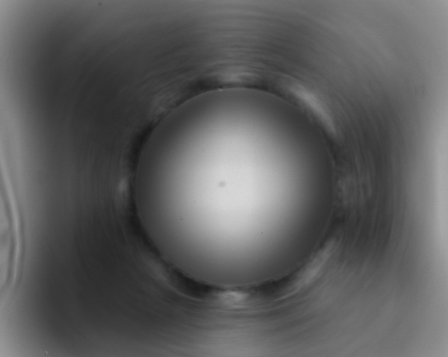 X0000091930265200709261919