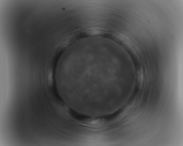 X0000091930267200709261919