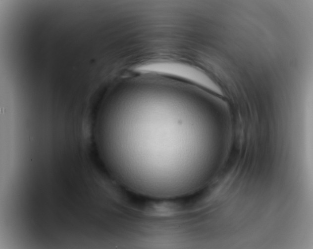 X0000091930268200709261919