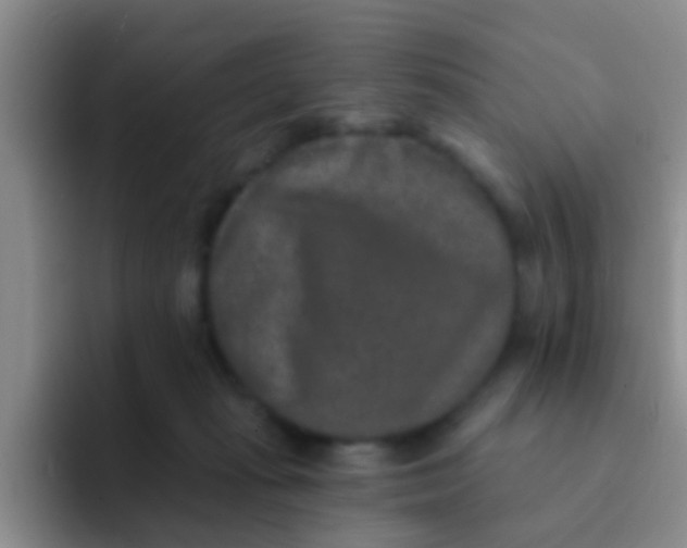X0000091930269200709261919