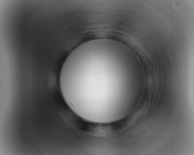 X0000091930270200709261919