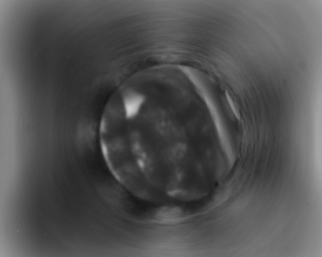 X0000091930271200709261919