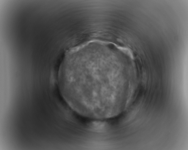 X0000091930272200709261919