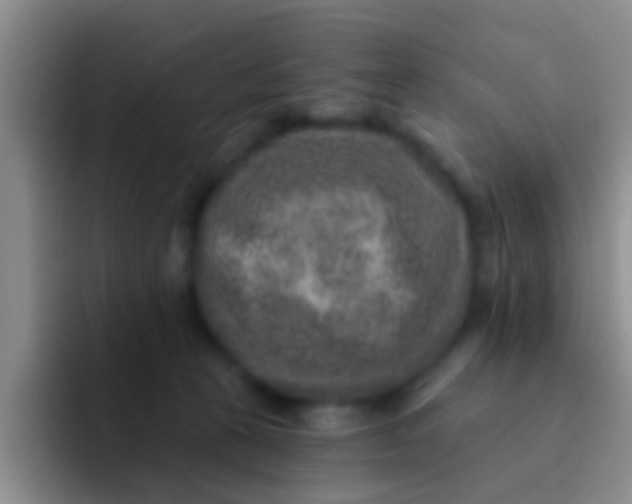 X0000091930273200709261919