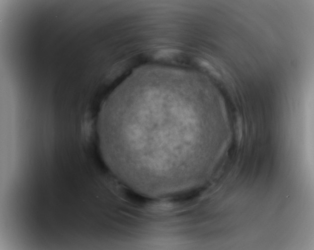 X0000091930276200709261919