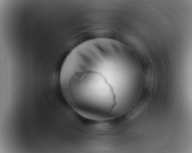 X0000091930278200709261919