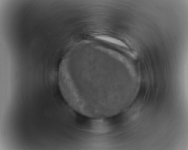 X0000091930281200709261919