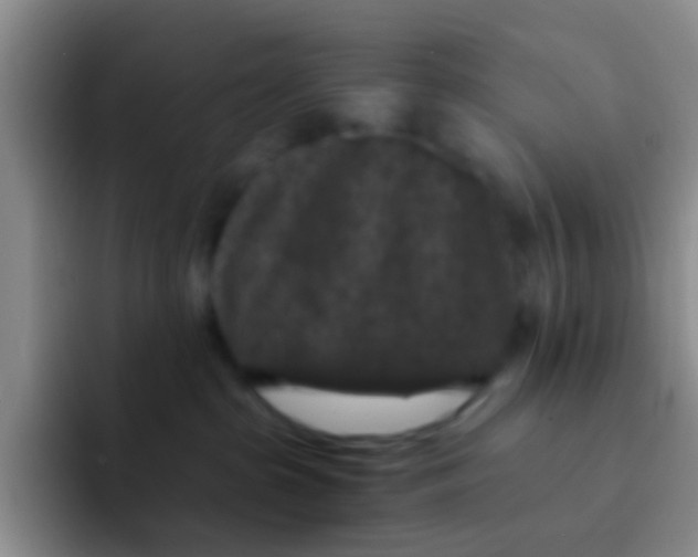 X0000091930285200709261919