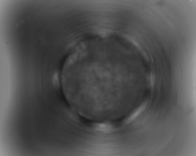 X0000091930286200709261919