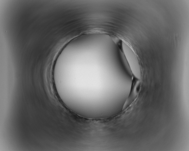 X0000091930289200709261919