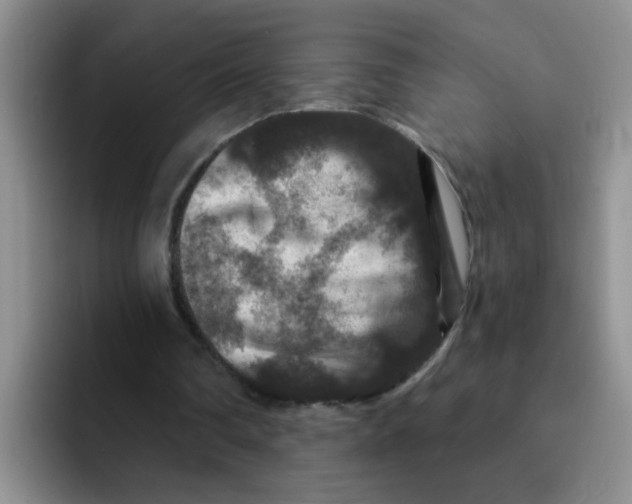 X0000091930290200709261919