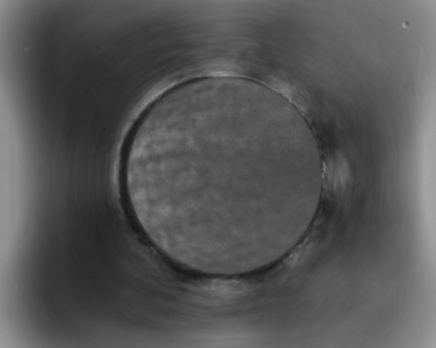X0000091930292200709261919