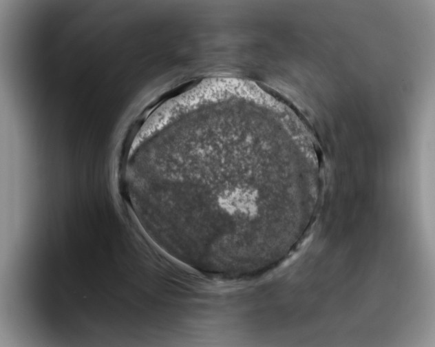 X0000091930293200709261919