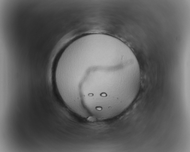 X0000091930296200709261919