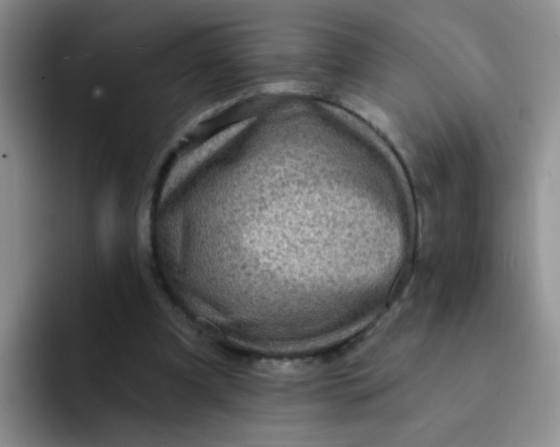 X0000091930297200709261919