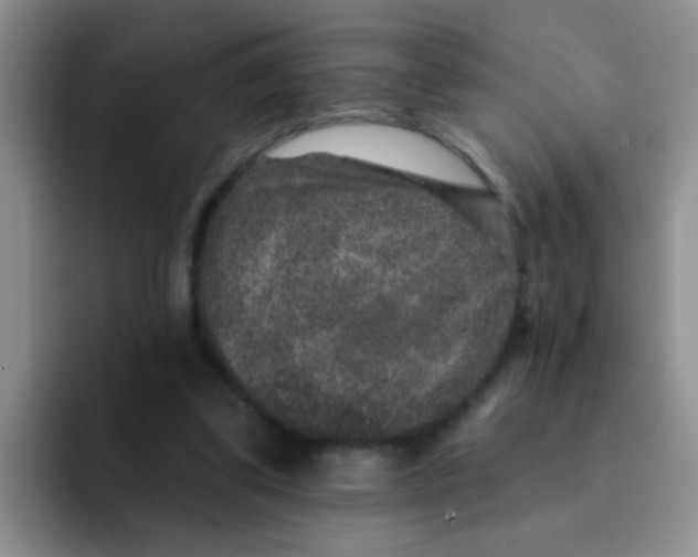 X0000091930299200709261919