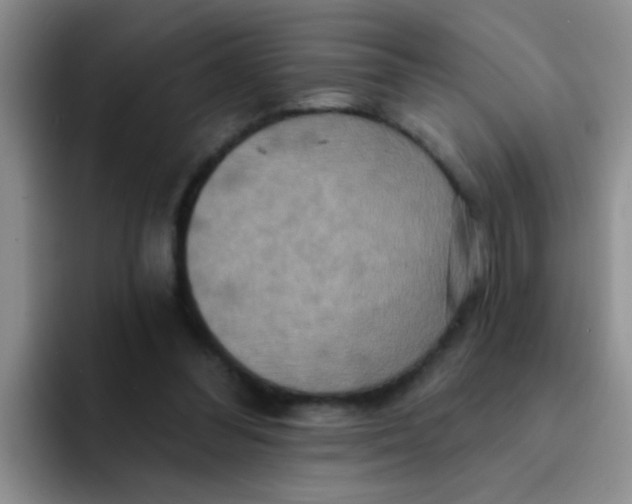 X0000091930300200709261919