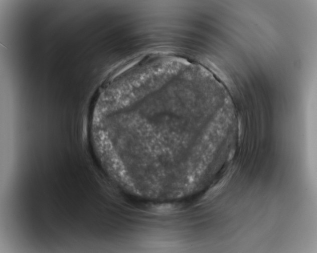 X0000091930301200709261919