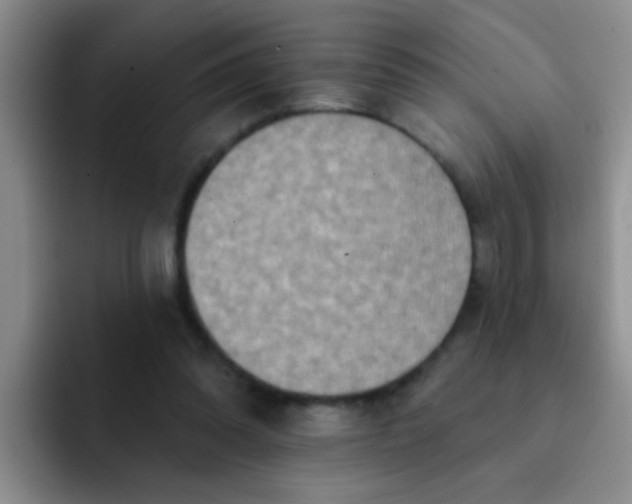 X0000091930302200709261919