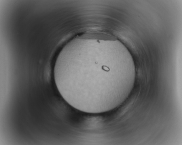 X0000091930304200709261919