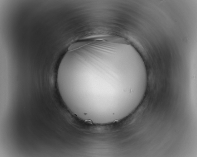 X0000091930305200709261919