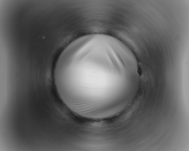 X0000091930306200709261919