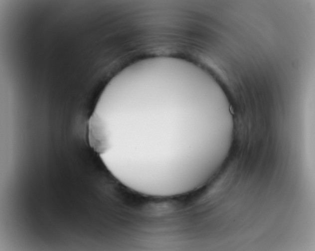X0000091930307200709261919