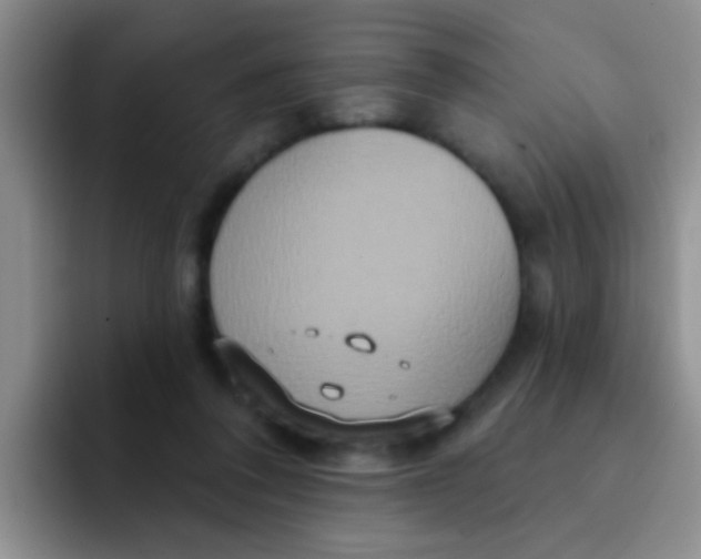 X0000091930308200709261919