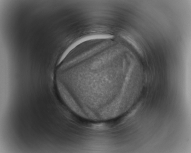 X0000091930309200709261919