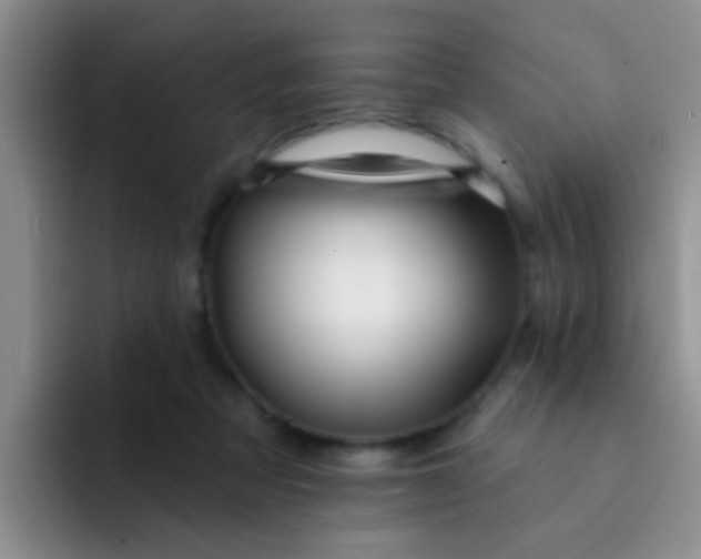 X0000091930313200709261919