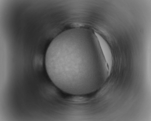 X0000091930315200709261919
