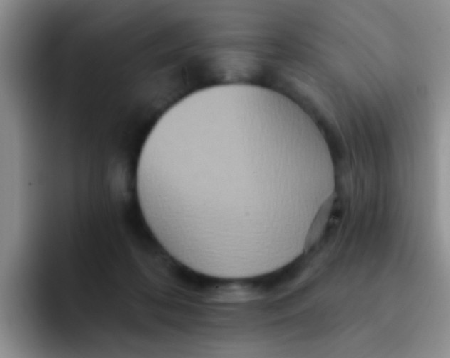 X0000091930316200709261919