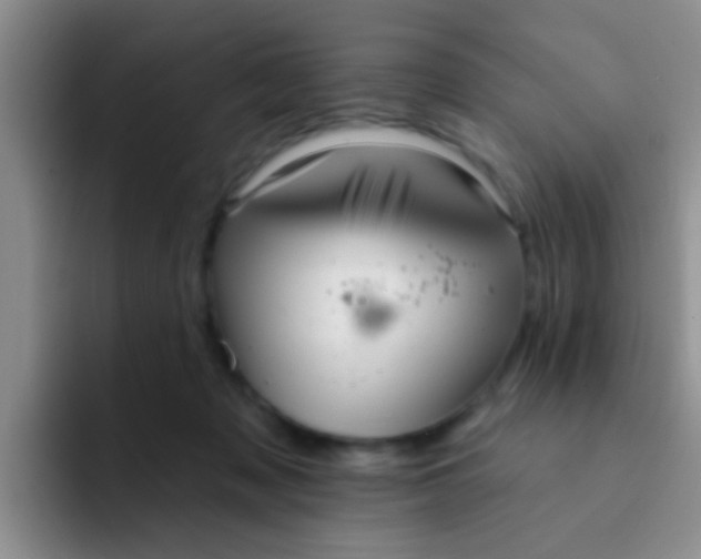 X0000091930317200709261919