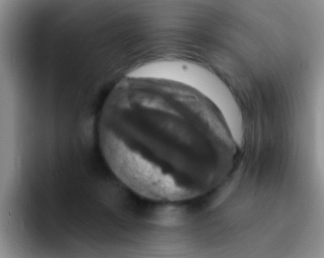 X0000091930319200709261919