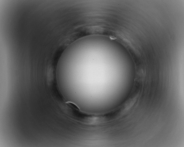 X0000091930323200709261919