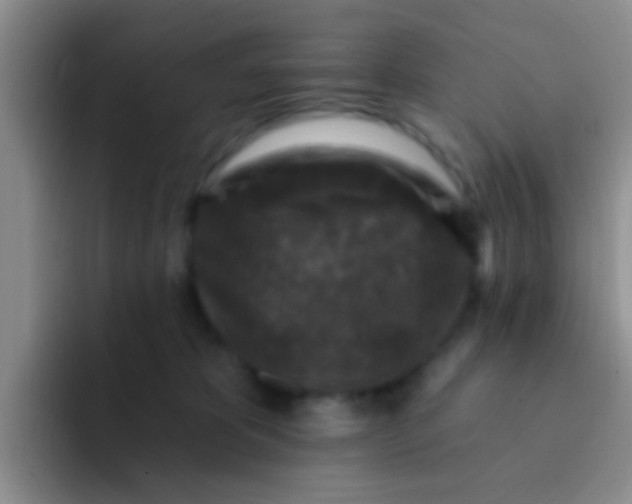 X0000091930325200709261919
