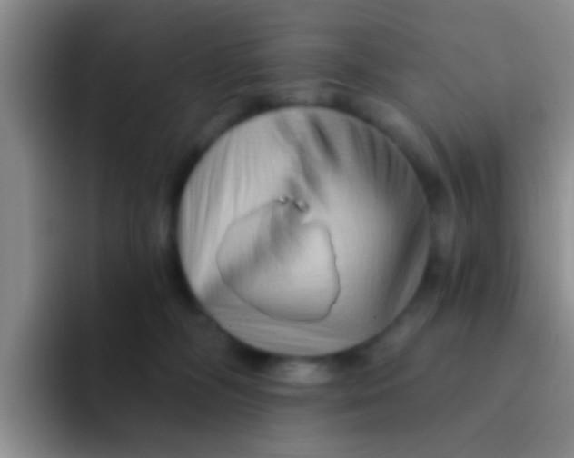 X0000091930326200709261919