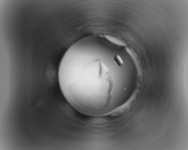 X0000091930327200709261919