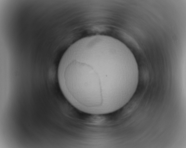 X0000091930328200709261918