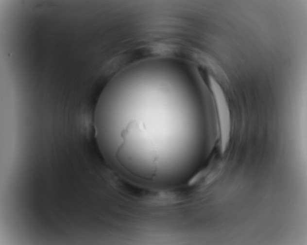 X0000091930329200709261918