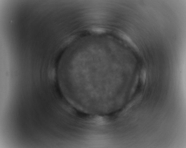 X0000091930330200709261918