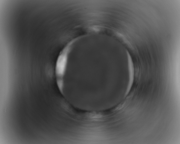 X0000091930331200709261918