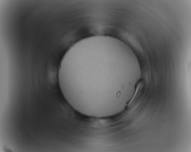 X0000091930332200709261918