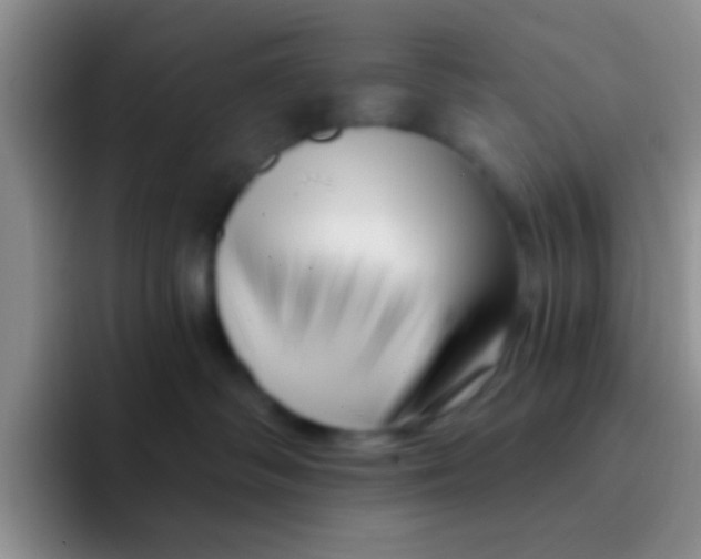 X0000091930334200709261918