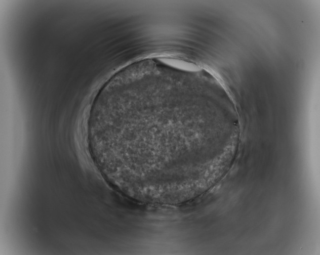 X0000091930337200709261918