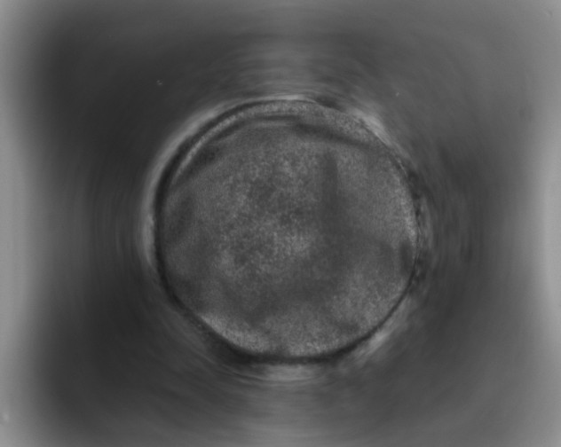 X0000091930342200709261918