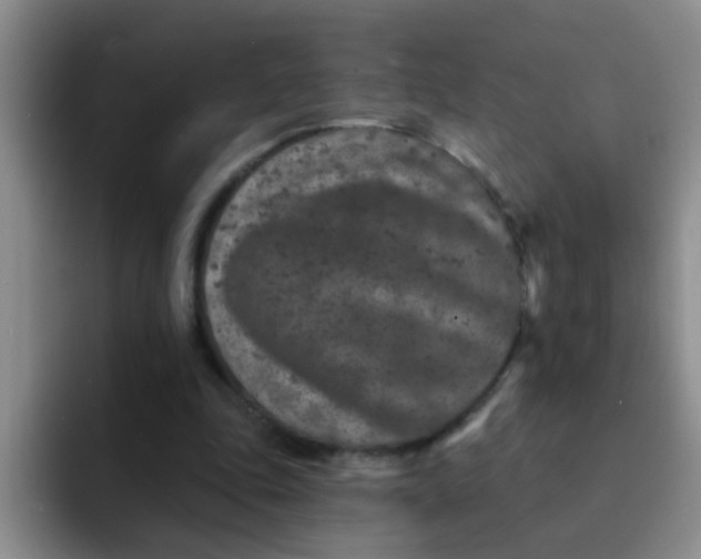 X0000091930343200709261918